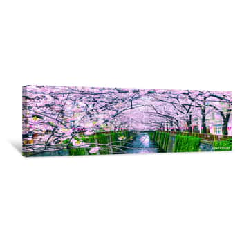 Image of Beautiful Sakura Or Cherry Blossoms At Meguro River In Tokyo, Japan Canvas Print