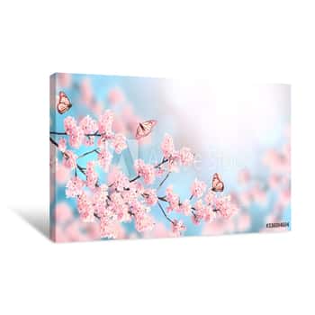 Image of Horizontal Spring Banner With Sakura Flowers And Three Butterflies Canvas Print