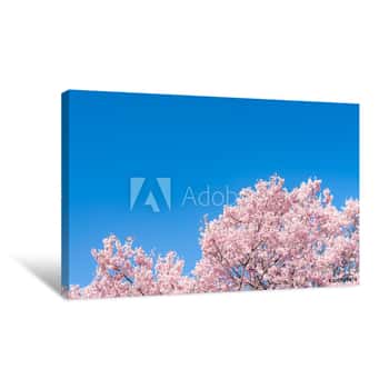 Image of Cherry Blossom (sakura) With Birds Under The Blue Sky In The Shinjuku Gyo-en Park In Tokyo Of Japan  A Good Place For Vocation In Spring Canvas Print