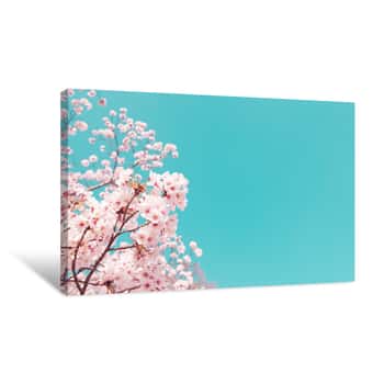 Image of Vintage Style Of Cherry Blossom Sakura In Spring Japan Canvas Print