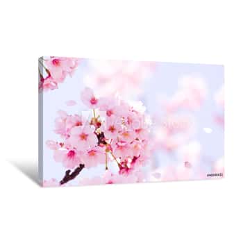 Image of 満開の桜 Canvas Print