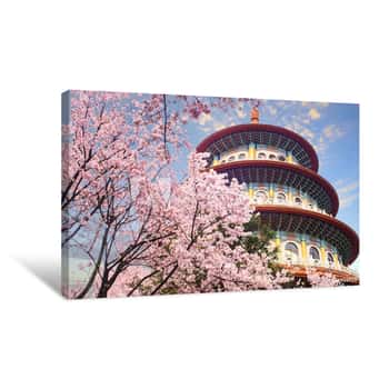 Image of Beautiflu Sakura Garden With Nice Sky In Taipei, Taiwan Canvas Print