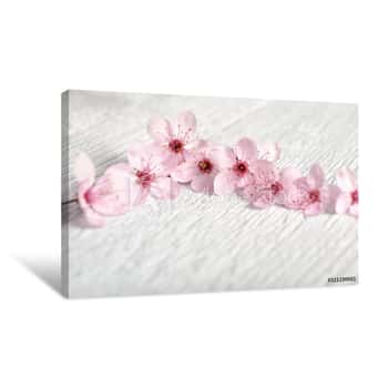 Image of Pink Sakura Flower Over White Wood Background  Spring Flowers On Wooden Background Canvas Print