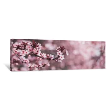 Image of Pink Spring Blossoming Branch Wide Background Canvas Print