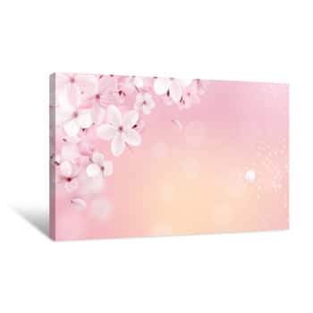 Image of Spring Sakura Petals Falling Down Canvas Print
