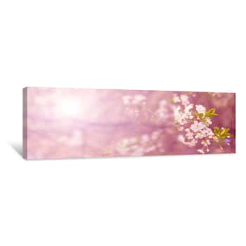 Image of Blooming Cherry Branch In The Spring Garden At The Wedding Ceremony Canvas Print