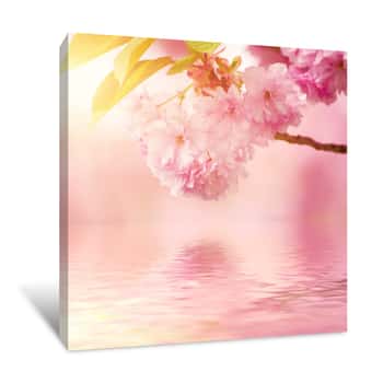Image of Fresh Pink Flowers Of Sakura Growing In The Garden, Natural Spring Outdoor Background Canvas Print