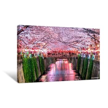 Image of Cherry Blossom Rows Along The Meguro River In Tokyo, Japan Canvas Print