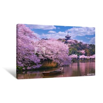 Image of Pink Sakura Flowers,Cherry Blossoms Pink,Sakura Cherry Blossoming Alley  Wonderful Scenic Park With Rows Of Blooming Cherry Sakura Trees And Green Lawn In Spring Canvas Print