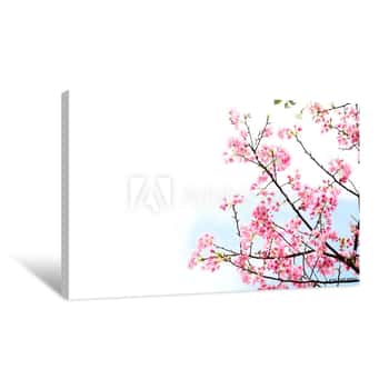 Image of Pink Cherry Blossom Or The Sakura Flower In Spring Season With Beautiful Nature Background At Taiwan,  Cherry Blossom Or Sakura Branch Canvas Print
