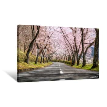 Image of Beautiful View Of Cherry Blossom Tunnel During Spring Season In April Along Both Sides Of The Prefectural Highway In Shizuoka Prefecture, Japan Canvas Print