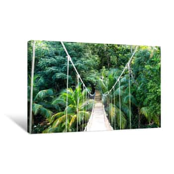 Image of Jungle Rope Bridge Hanging In Rainforest Of Honduras Canvas Print