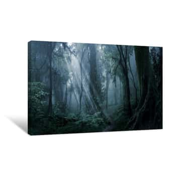 Image of Deep Tropical Jungle In Darkness Canvas Print