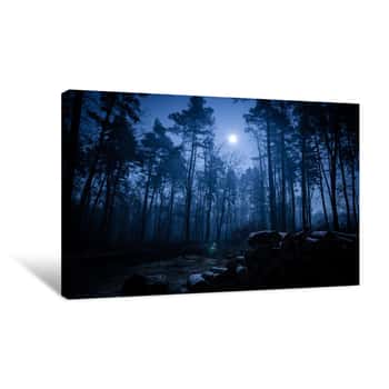 Image of Dark Night Forest Canvas Print