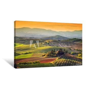 Image of Tuscany Landscape At Sunrise  Tuscan Farm House, Vineyard, Hills Canvas Print