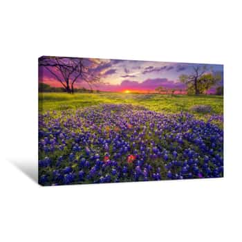 Image of Sunrise In The Texas Hill Country Canvas Print