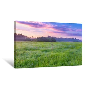 Image of Calm And Tranquil Place With Untouched Wild Meadow At Sunrise Canvas Print