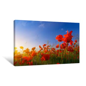 Image of Field Of Poppies At Sunrise Canvas Print