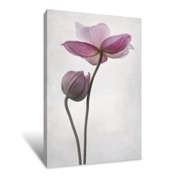 Image of A Little Flower Touch Canvas Print