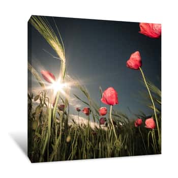 Image of Pink Flowers Canvas Print