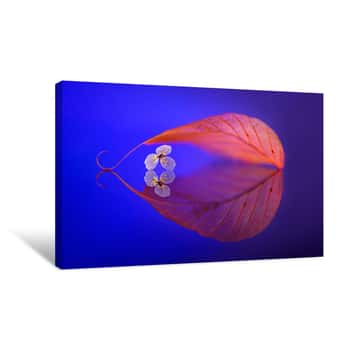 Image of Flower in Heaven Canvas Print