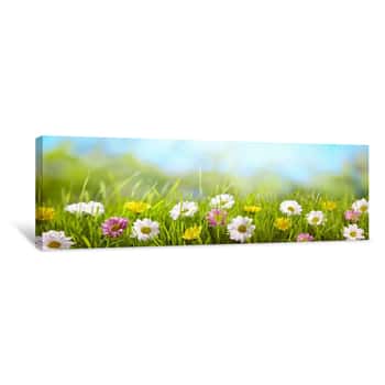 Image of Spring Flower In The Meadow Canvas Print