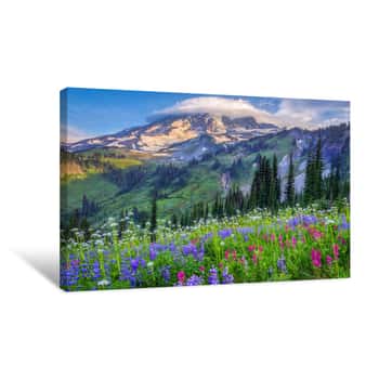 Image of Mt Rainier Wildflowers Canvas Print