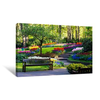 Image of Tulip Bloom In Keukenhof Flower Garden, The Largest Tulip Park In The World  Colorful Blooming Fields And Flower Alleys, The Netherlands, Holland, Lisse, Europe Canvas Print