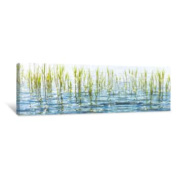Image of Sunshine In The Grass At The Waterside Panorama Canvas Print