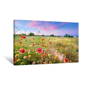 Image of Texas Wildflowers At Sunrise Canvas Print