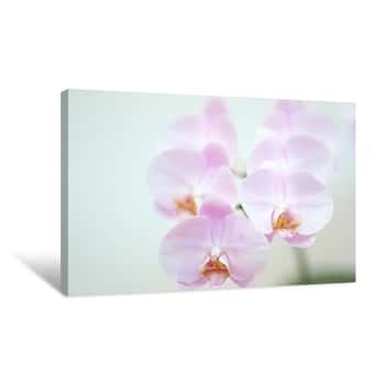 Image of Beautiful World Orchid Canvas Print