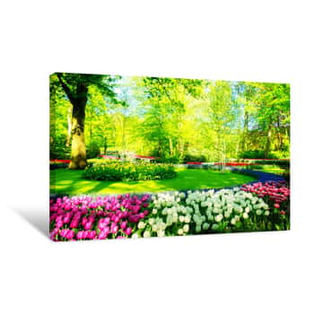 Image of Fresh Lawn With Flowers Canvas Print