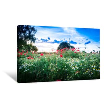 Image of Mohnblumenwiese - The Poppy Field Canvas Print