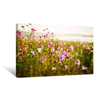 Image of The Kelsang Flowers Bloom Luxuriantly Sunrise Canvas Print