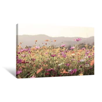 Image of Cosmos Flower Field In Vintage Style Canvas Print