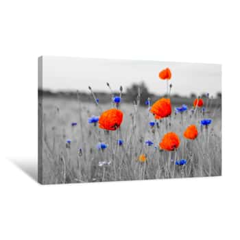 Image of Wildflowers Poppies Canvas Print