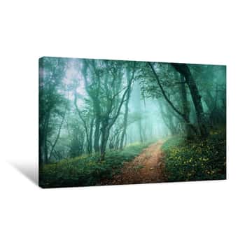 Image of Road Through A Mysterious Dark Forest In Fog With Green Leaves A Canvas Print
