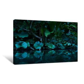 Image of Tropical Rain Forest With Water Mirror Canvas Print