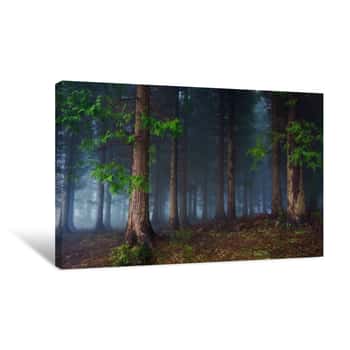 Image of Dark Forest Canvas Print