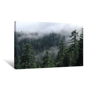 Image of Fog Cover The Forest  Misty Forest View From Larch Mount  USA Pacific Northwest, Oregon Canvas Print