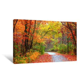 Image of Beautiful Alley In Autumn Canvas Print