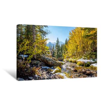 Image of Season Changing, First Snow And Autumn Trees Canvas Print