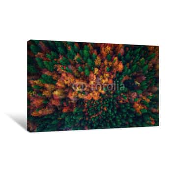 Image of Aerial View Over Autumn Forest Landscape Canvas Print