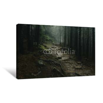 Image of Landscape Of A Mystical Forest Covered With Fog Canvas Print