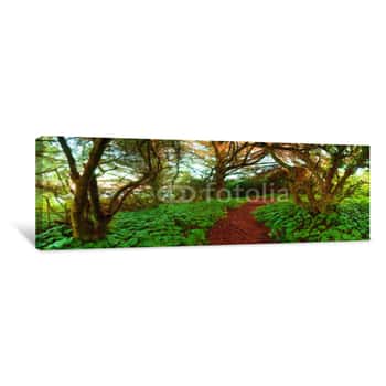 Image of Adventure Path Through The Wilderness Canvas Print