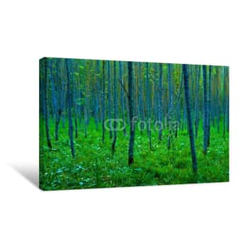 Image of Stangenwald Canvas Print