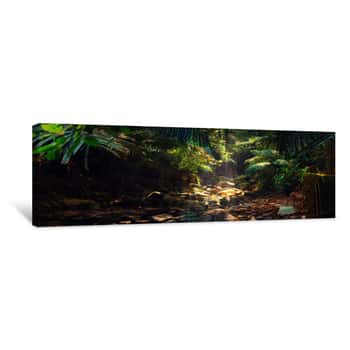 Image of Panorama Of The Mountain River In The Jungle, India, Goa Canvas Print