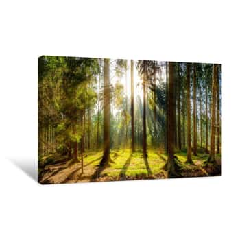 Image of Sonnenaufgang Auf Einer Lichtung Im Wald Canvas Print