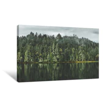 Image of Forest Reflected In Still Lake Canvas Print