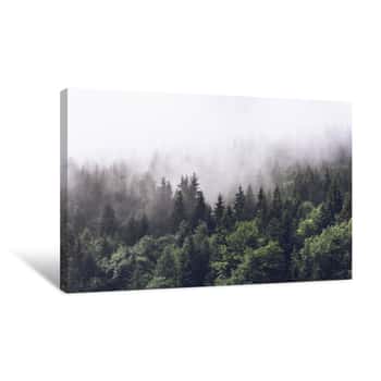 Image of Forested Mountain Slope In Low Lying Cloud Canvas Print